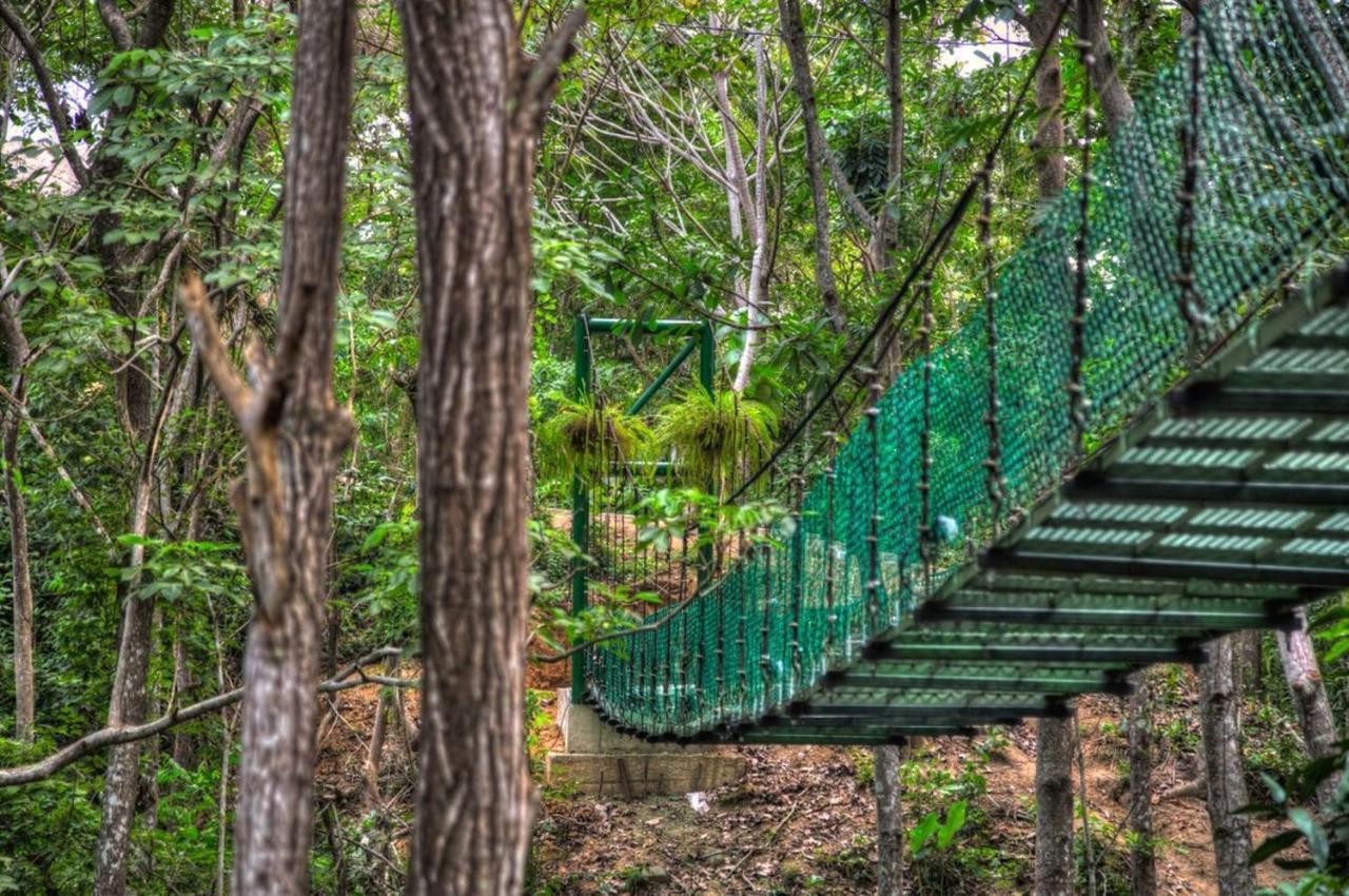 Villa Maria Tayrona, Jungle And Sea Experience Лос-Наранхос Экстерьер фото